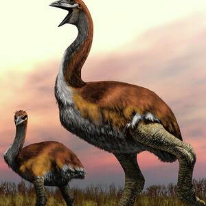 Elephant Birds by Science Photo Library