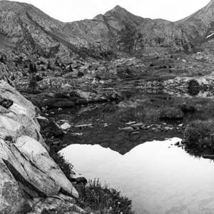 Ellingwood Point Reflection Black and White by Aaron Spong