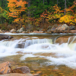 Fall Cascade by Bryan Bzdula