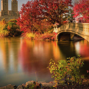 Fall In Central Park by Christopher R. Veizaga