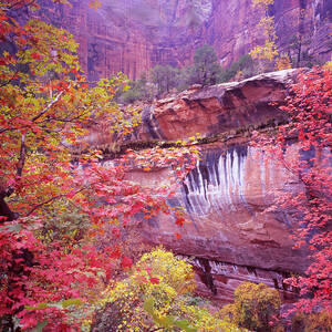 Fall in Zion by Ray Mathis