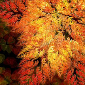 Falling Into Autumn Abstract by Andee Design