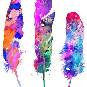 Feathers 3 by Watercolor Girl
