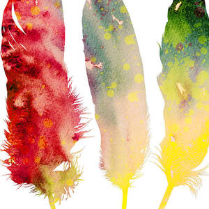 Feathers 5 by Watercolor Girl