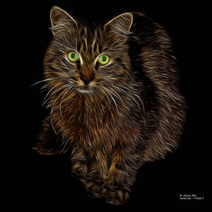 Feral Cat - 9905 F by James Ahn
