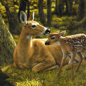 First Spring - variation by Crista Forest