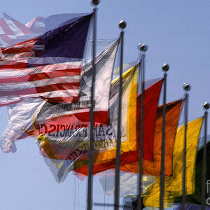 Flags In Motion by Ron Sanford