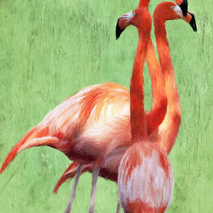 Flamingo Twist by Jeffrey Kolker
