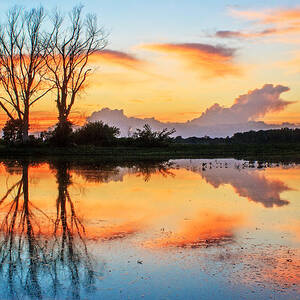 Flooded Bean Field Sunset - Weston MO by Kevin Anderson
