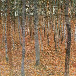 Forest of Beech Trees by MotionAge Designs