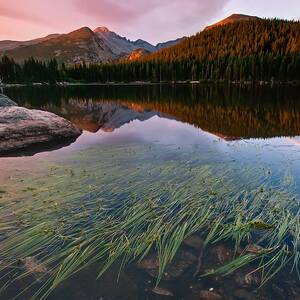 Glacier Gorge Grassy Reflection by Mike Berenson