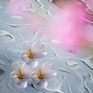 Go with Spring Flow by Jenny Rainbow
