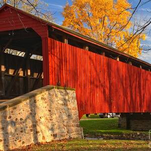 Gold Above The Poole Forge Covered Bridge by Adam Jewell