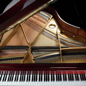 Grand Piano Overview, Keyboard by Dszc