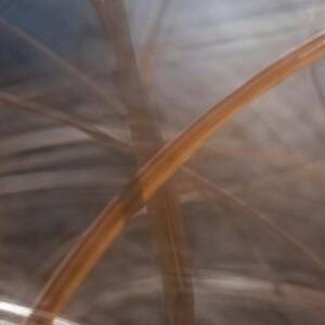 Grass - Abstract 1 by Natalie Rotman Cote