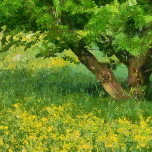 Green spring meadow with yellow flowers and tree - digital painting by Matthias Hauser
