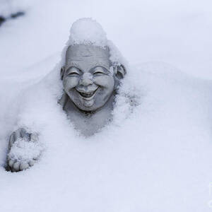 Happy Buddha in Snow by Steven Ralser