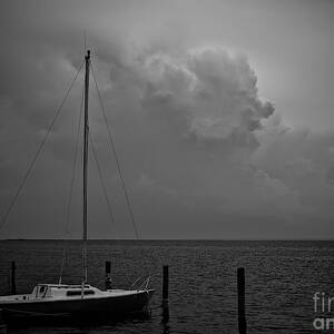 Head in the Clouds in black and white by Mark Miller