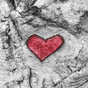 Here Is My Heart in Color by Diane Macdonald