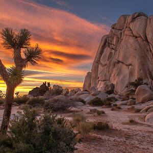 Hidden Valley Rock - Joshua Tree by Peter Tellone