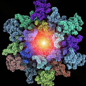 Hiv-1 Capsid In Intact Virus Particle by Science Photo Library