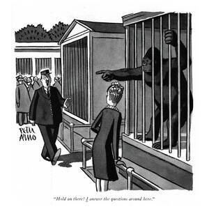 Hold On There! I Answer The Questions Around Here by Peter Arno