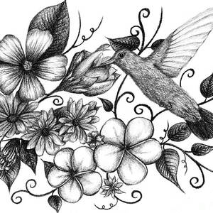 Tri-Floral Sketch Drawing by Alina Nash - Fine Art America