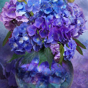 Hydrangeas In Hydrangea Vase by Carol Cavalaris
