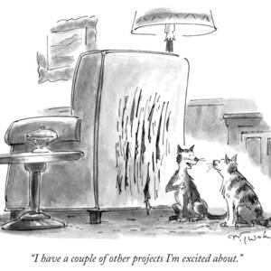 I Have A Couple Of Other Projects I'm Excited by Mike Twohy