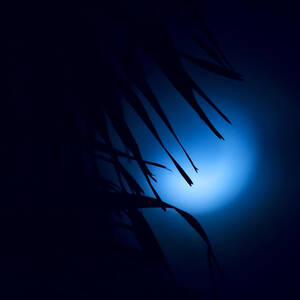 Indigo Mood by Mark Andrew Thomas