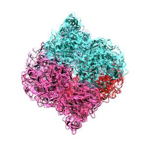 Insulin Molecule by Science Photo Library