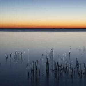 Just Before Dawn by Scott Norris