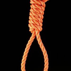 Knots: A Hangman's Noose by Science Photo Library