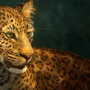 Leopard by Aaron Blaise