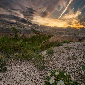 Life Finds A Way by Aaron J Groen