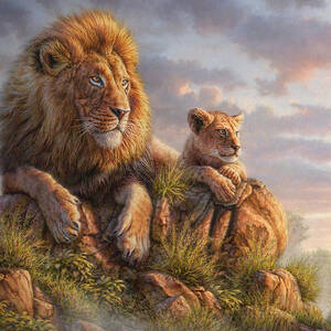 Lion Pride by Phil Jaeger