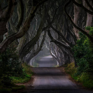 Magic Road by Piotr Galus
