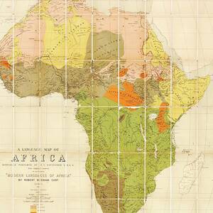 Map Of The Languages Of Africa by Science Photo Library