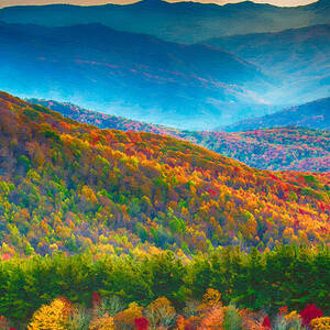 Max Patch Bald Fall Colors by John Haldane