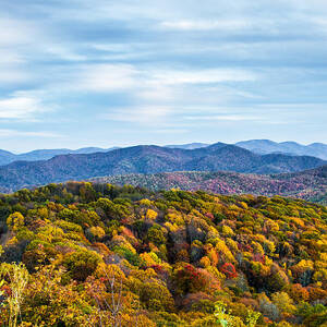 Max Patch Bald by John Haldane