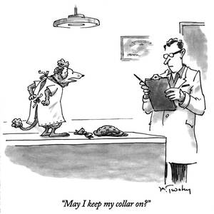 May I Keep My Collar On? by Mike Twohy