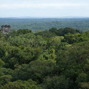 Mayan Temples by Greg Ochocki