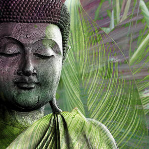 Meditation Vegetation by Christopher Beikmann