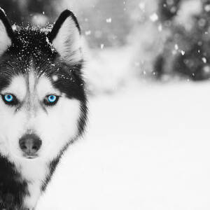 Mesmerizing by Nunweiler Photography