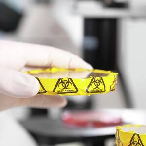 Microbiology Lab by Science Photo Library