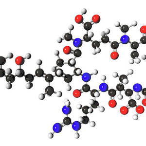 Microcystin Molecular Model by Science Photo Library