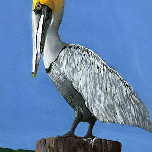 Mighty Observer by Joseph Dickinson by California Coastal Commission