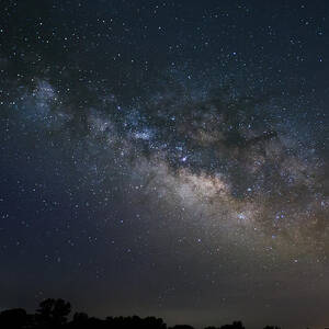 Milky Way Above The Trees by Todd Aaron