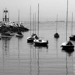 Moored by Eunice Miller