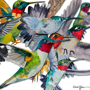DA053 Multi-Hummers by Daniel Adams by Daniel Adams